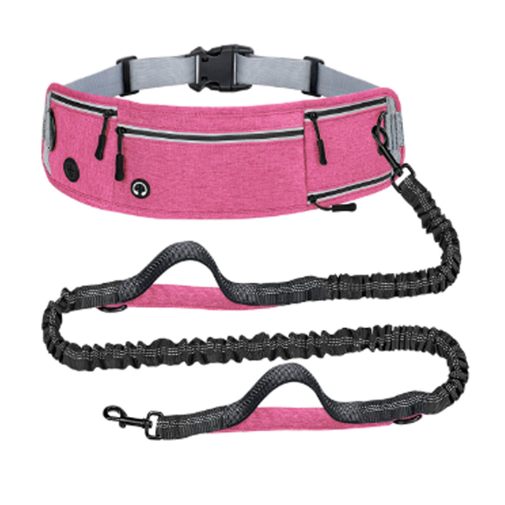 Nylon Anti Pull Dog Leash with Reflective Waist Bag
