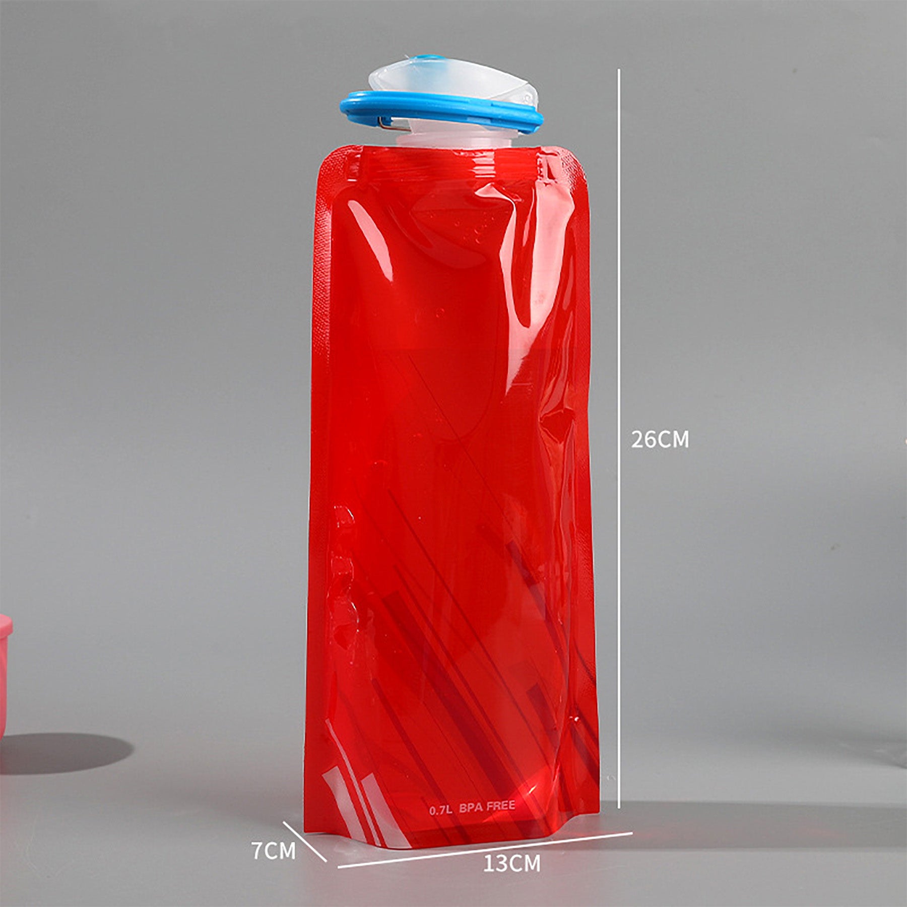 Portable Collapsible Water Pouch