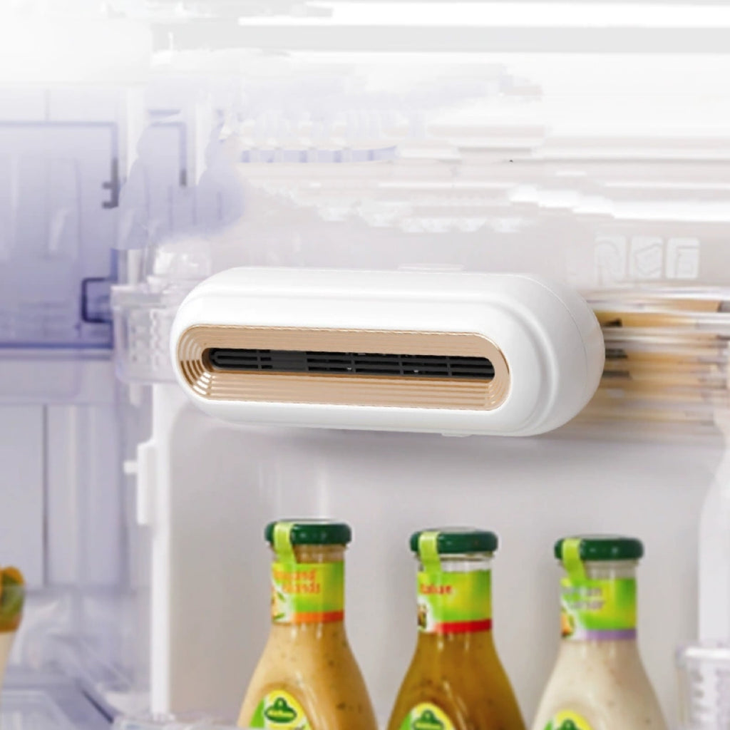 Rechargeable Refrigerator Deodorizer