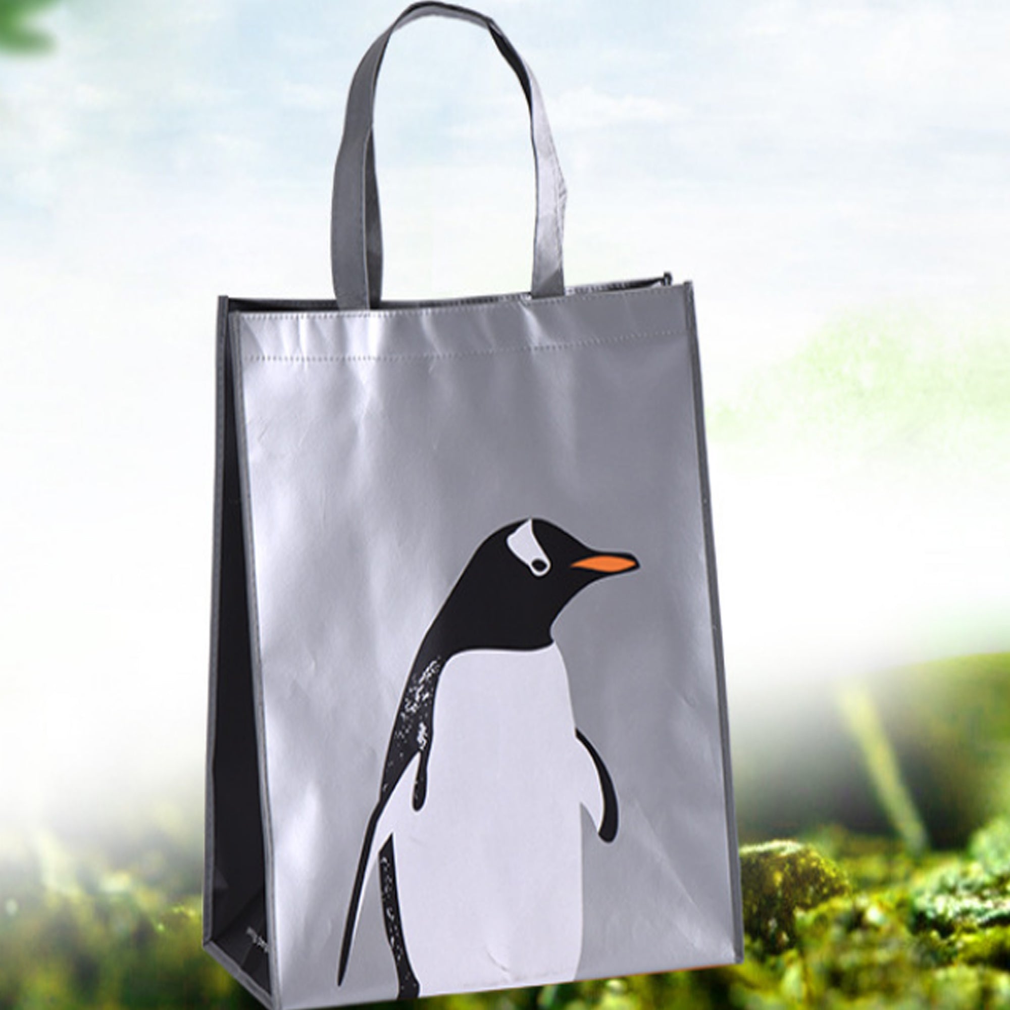 High-Grade Metal Film Non-Woven Bag Portable