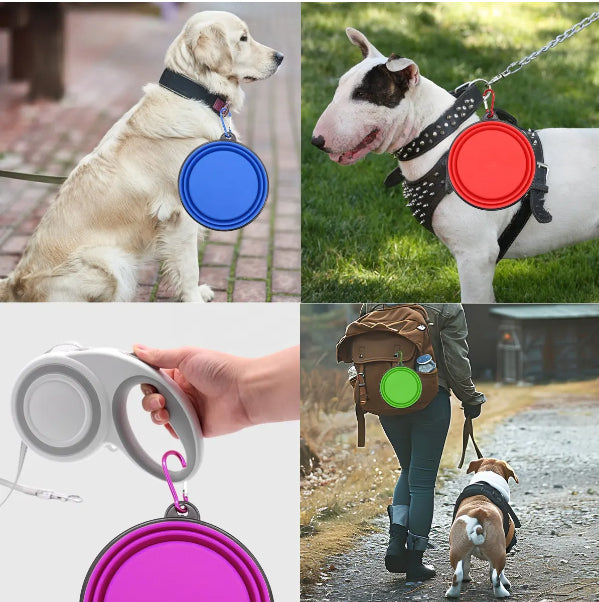 12 Oz. Collapsible Silicone Pet Bowl With Carabiners
