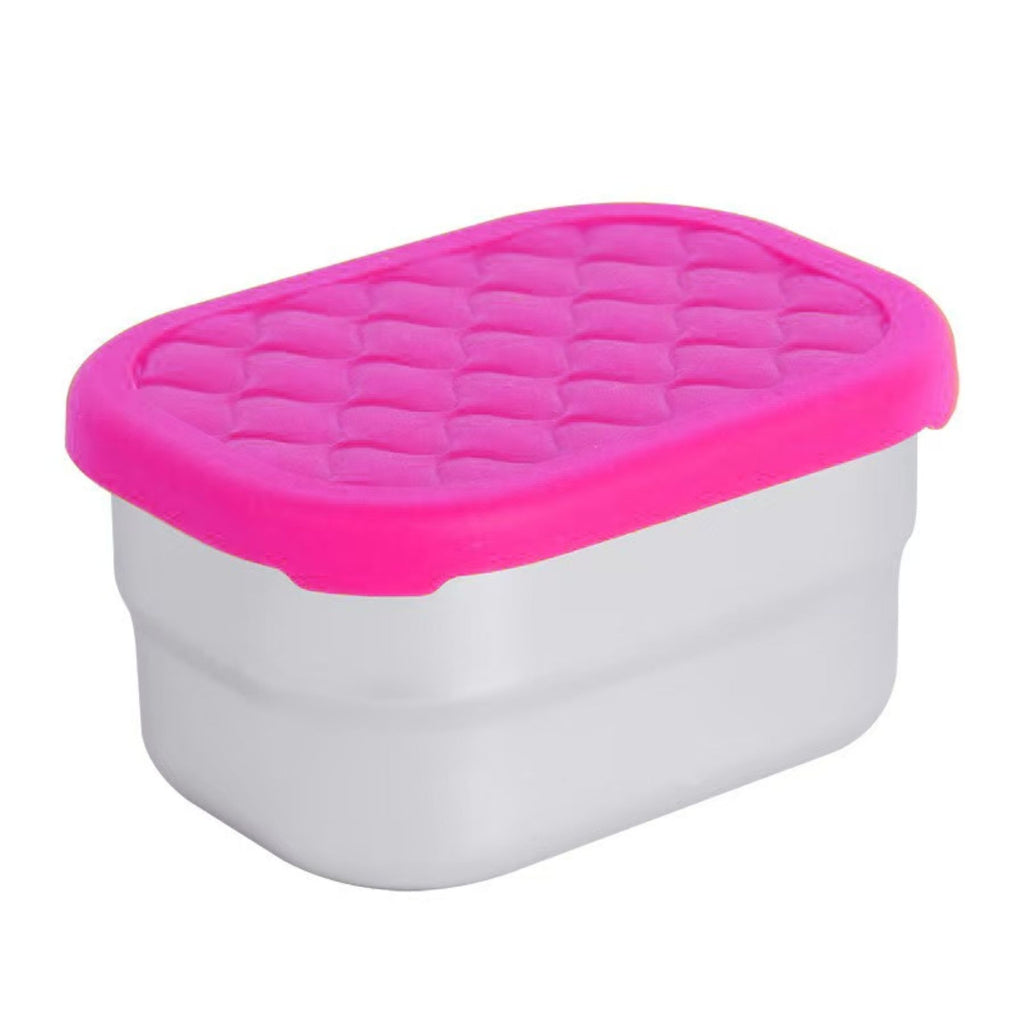 Stainless Steel Food Container