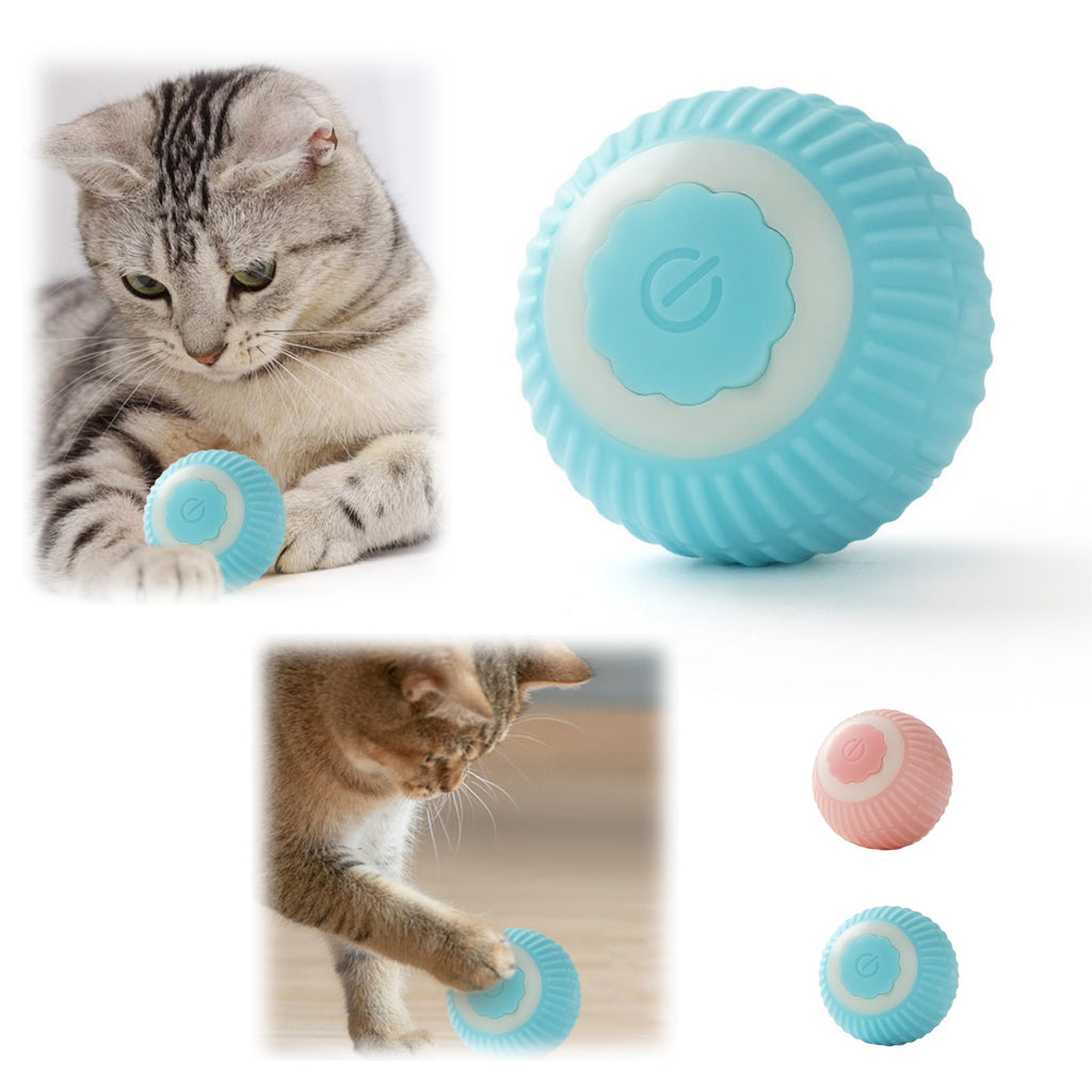 Smart & Engaging Cat Toy Ball