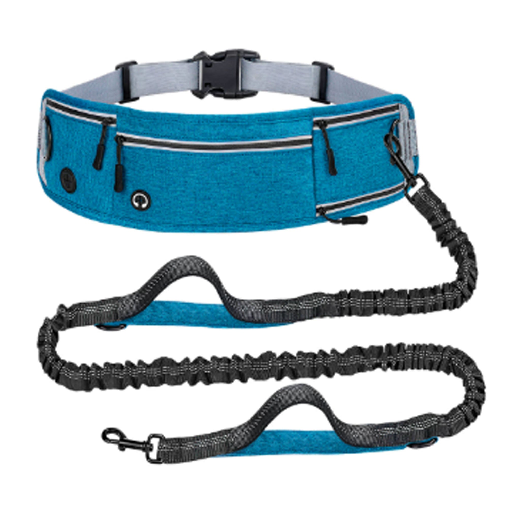 Nylon Anti Pull Dog Leash with Reflective Waist Bag