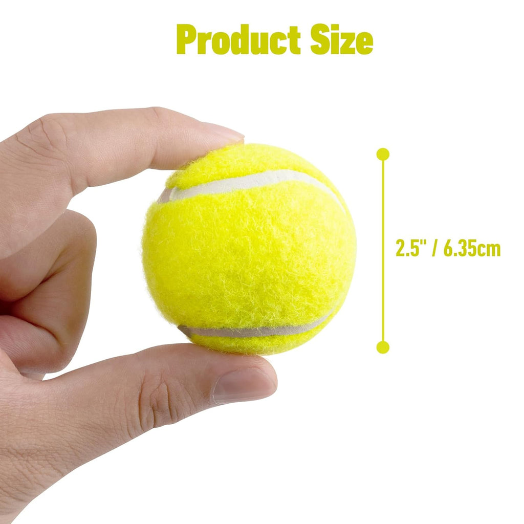 Championship Tennis Balls