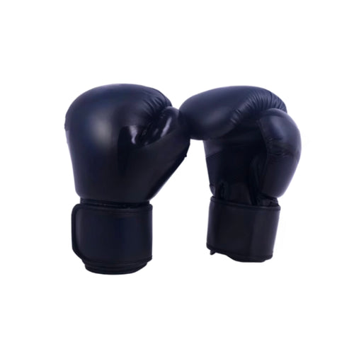 Adult Boxing Gloves