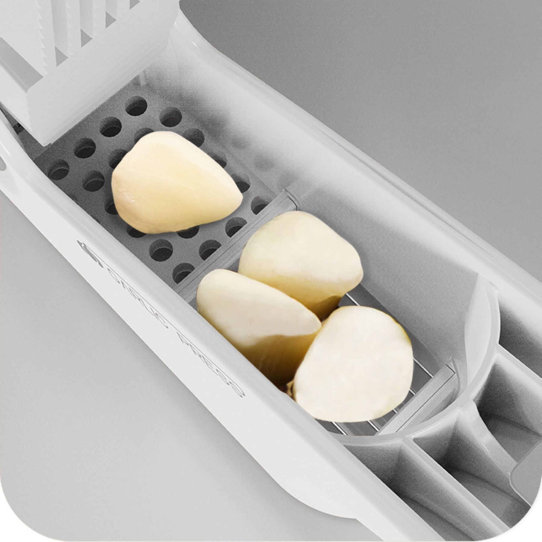 Garlic Press Machine