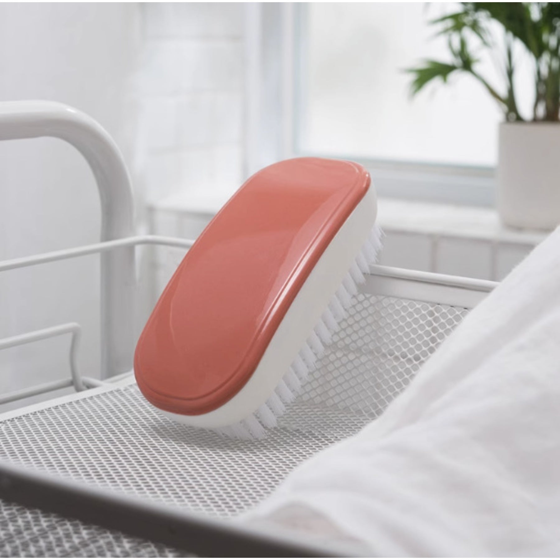 Soft-Bristle Shoe Brush