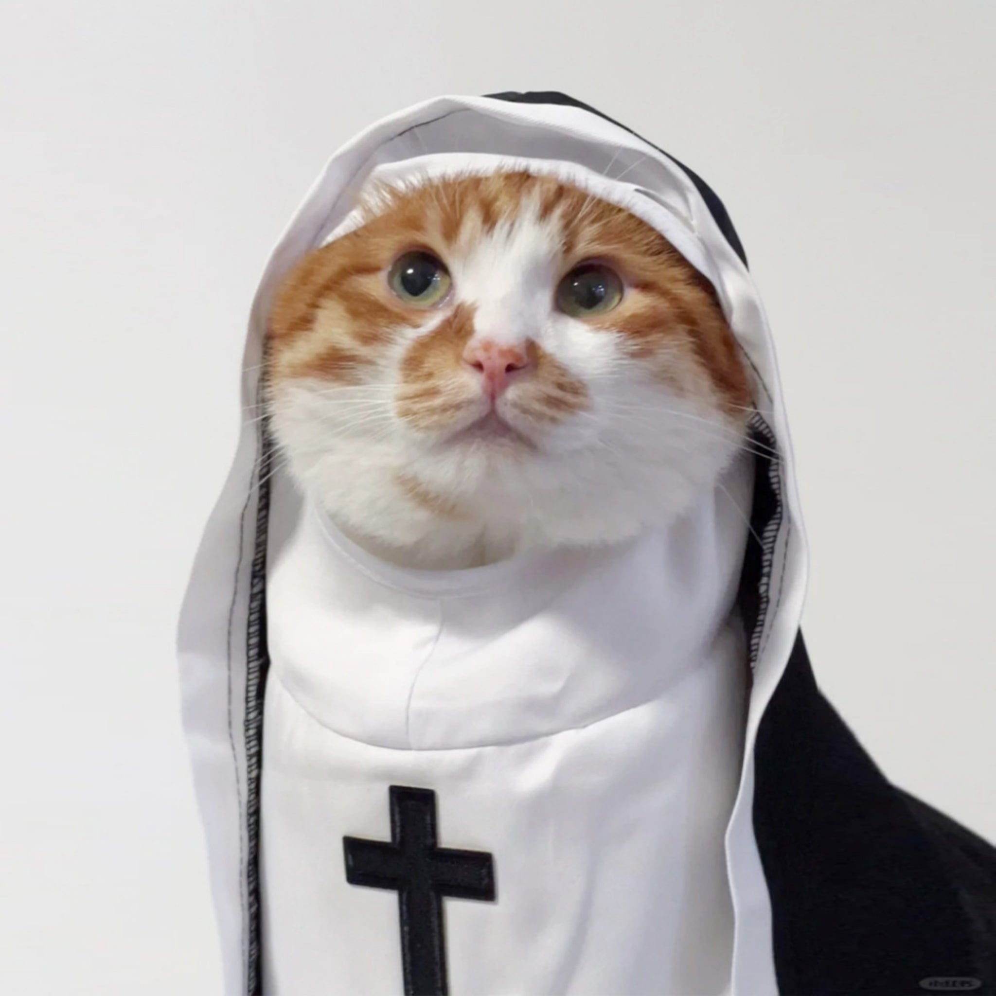 Funny Nun Pet Costume Cat Dog Small Medium Photo Cosplay