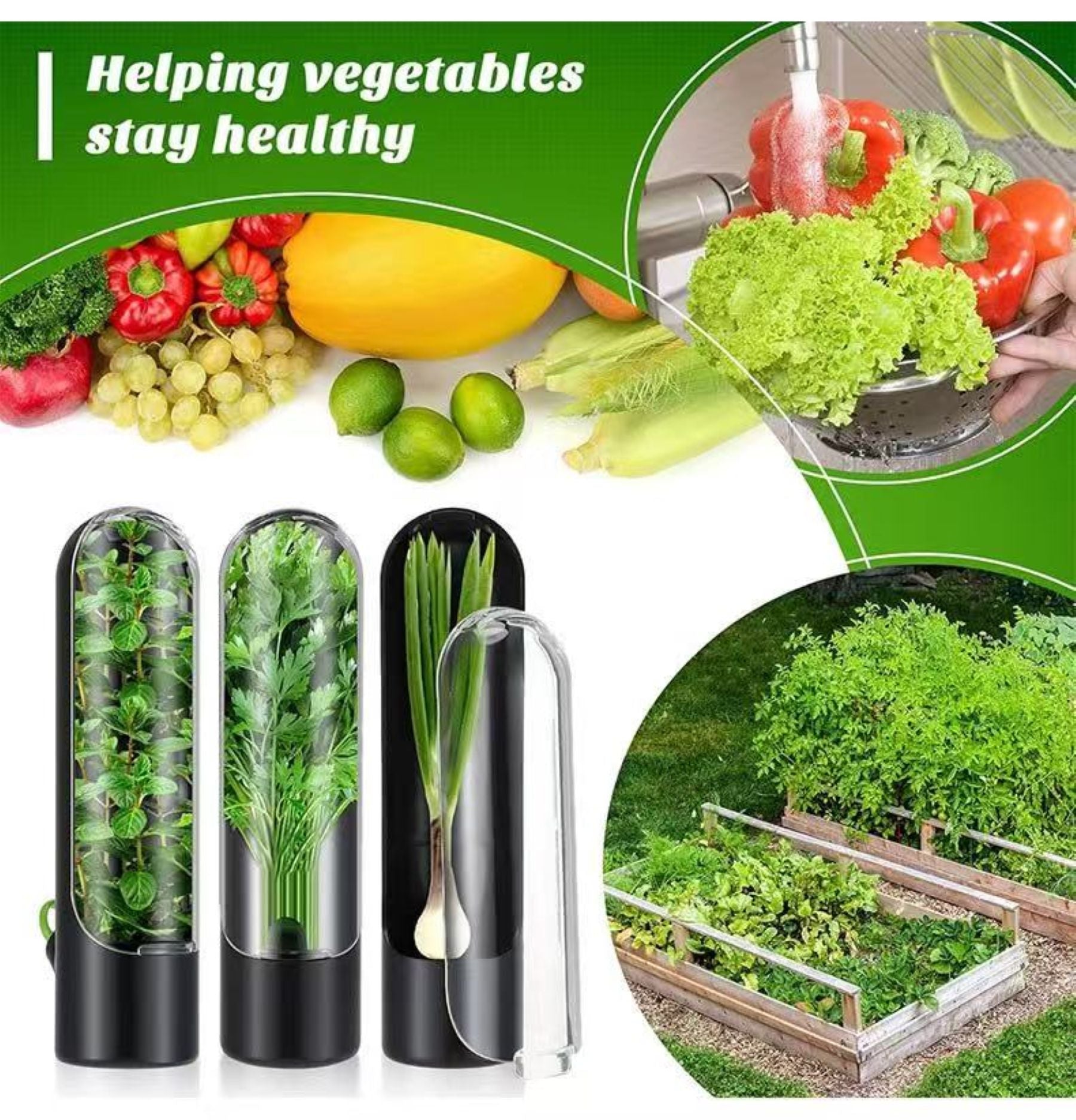 Vegetable Preservation Box