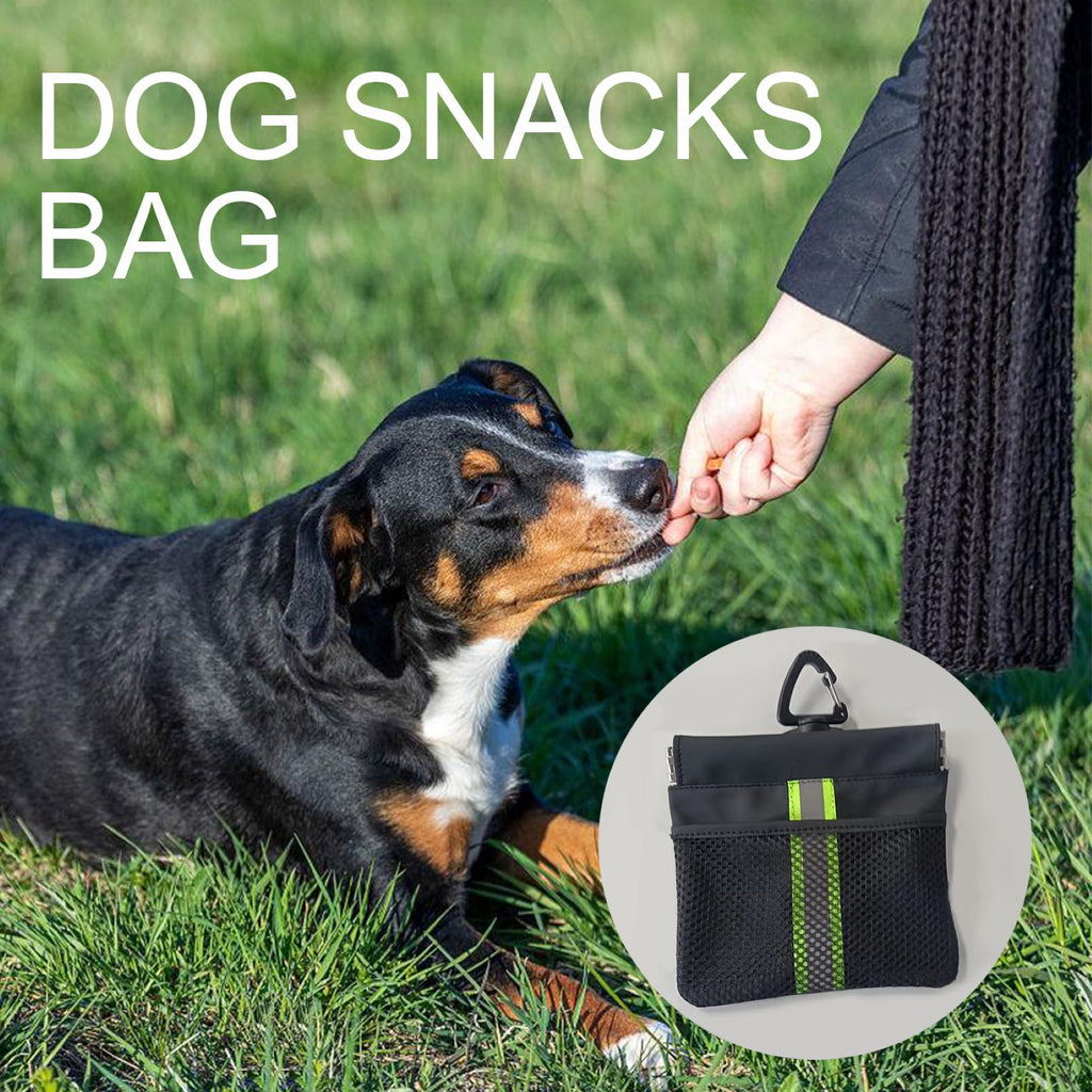 Dog Snacks Bag