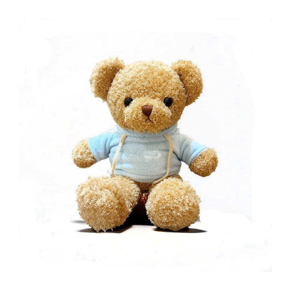Plush Teddy Bear