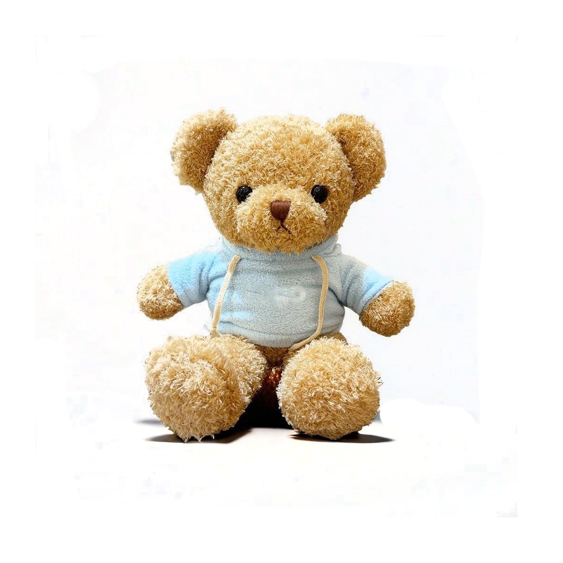 Plush Teddy Bear