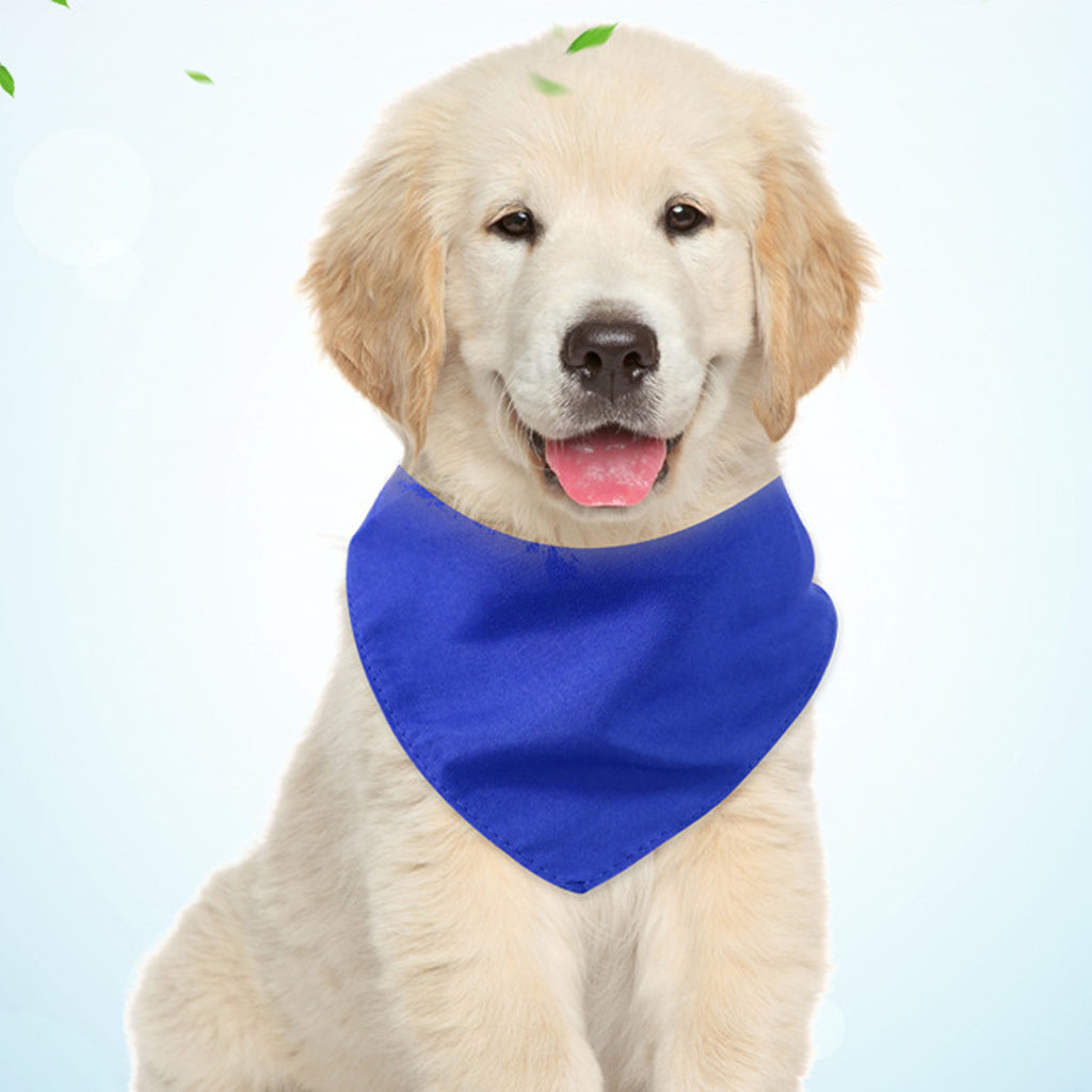 Triangle Bandana