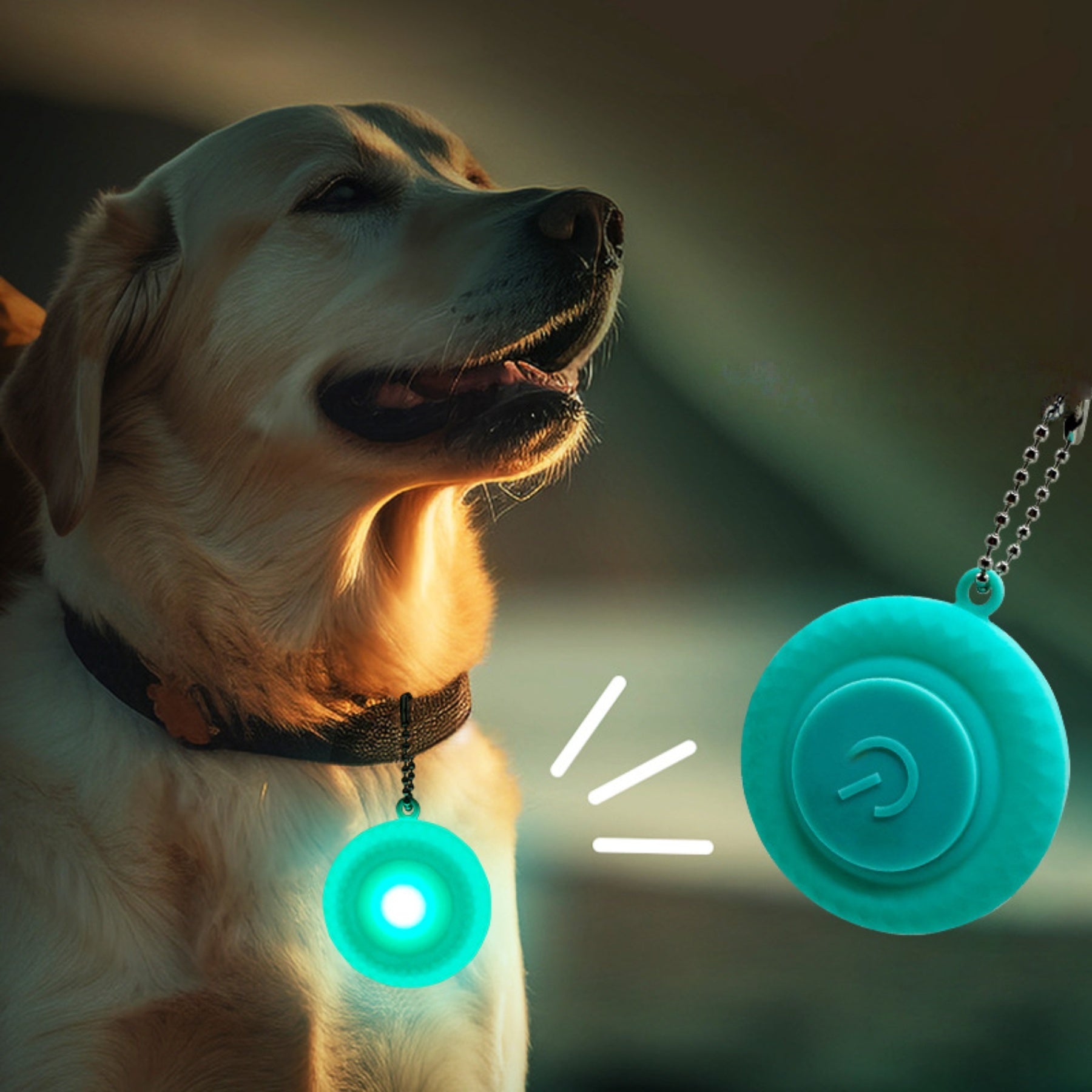 Anti-Loss Night Light Flash Warning Pendant Dog Tracker