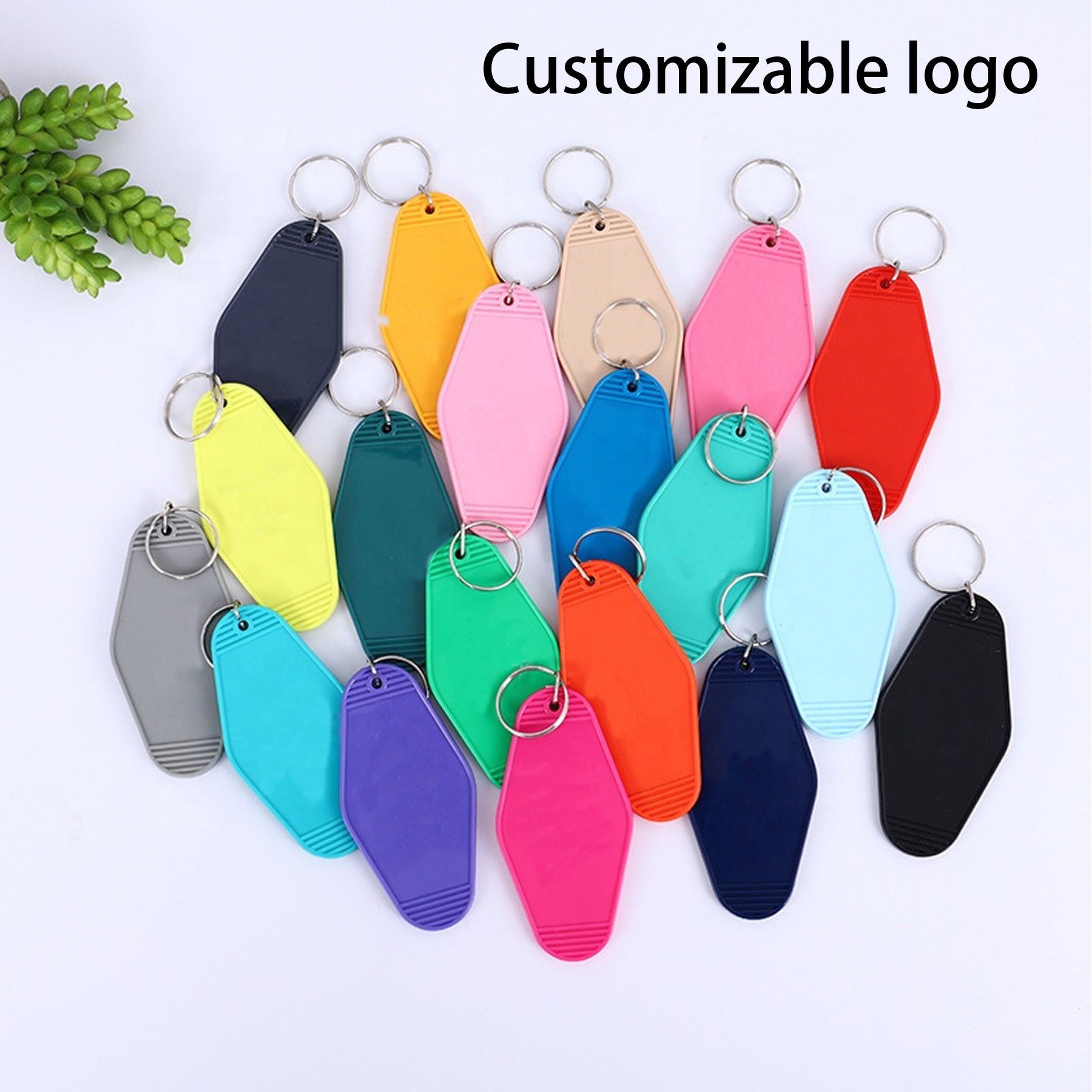 Plastic Key Tag Luggage Tag Keychain