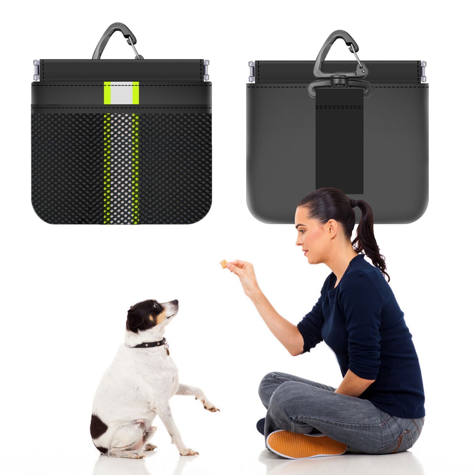 Dog Snacks Bag