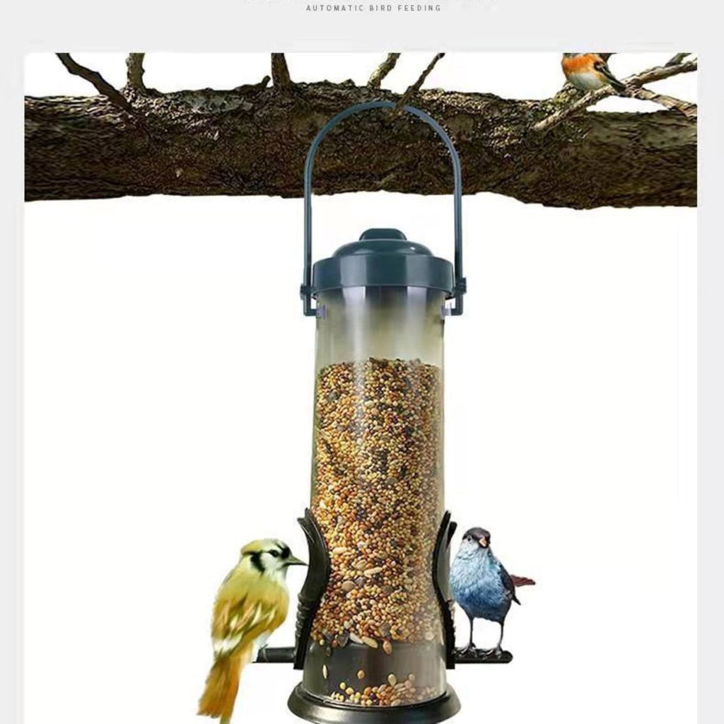 Bird Feeder