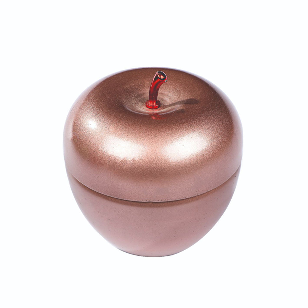 Christmas Apple Can