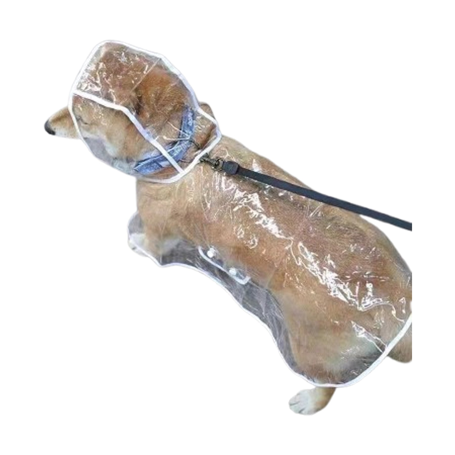 Transparent Pet Raincoat
