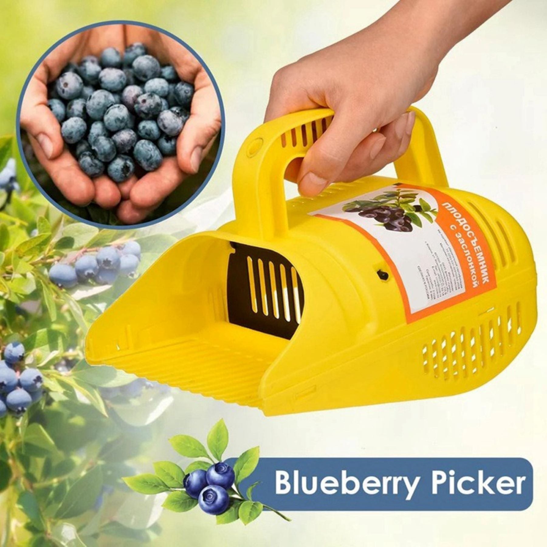 Blueberry Picking Tool
