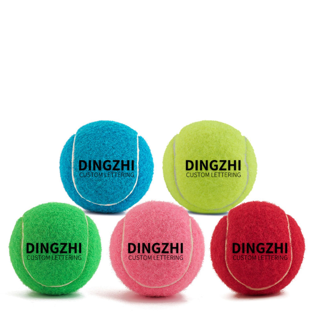 Pet Bouncy Ball Toy
