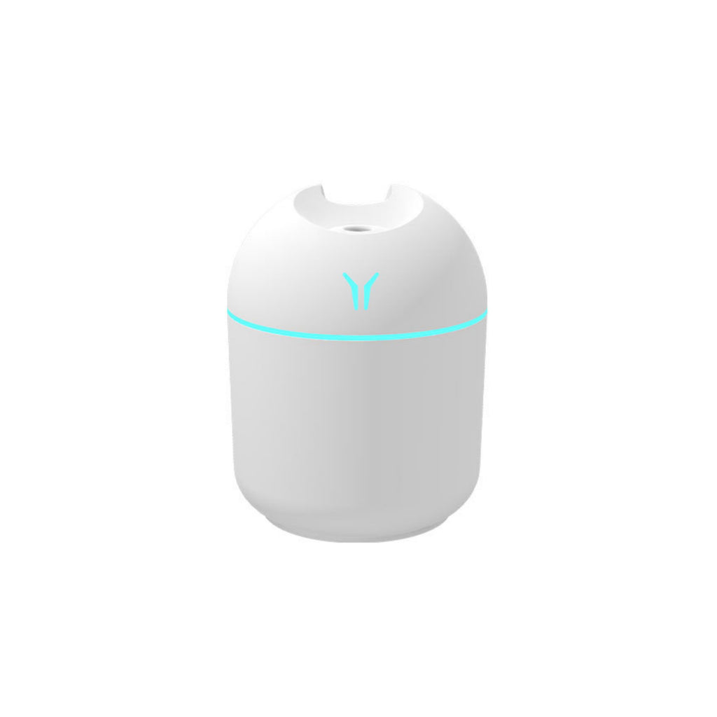 Mini Portable Humidifier