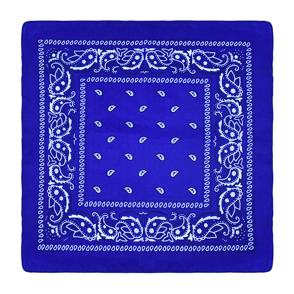 Paisley Bandannas