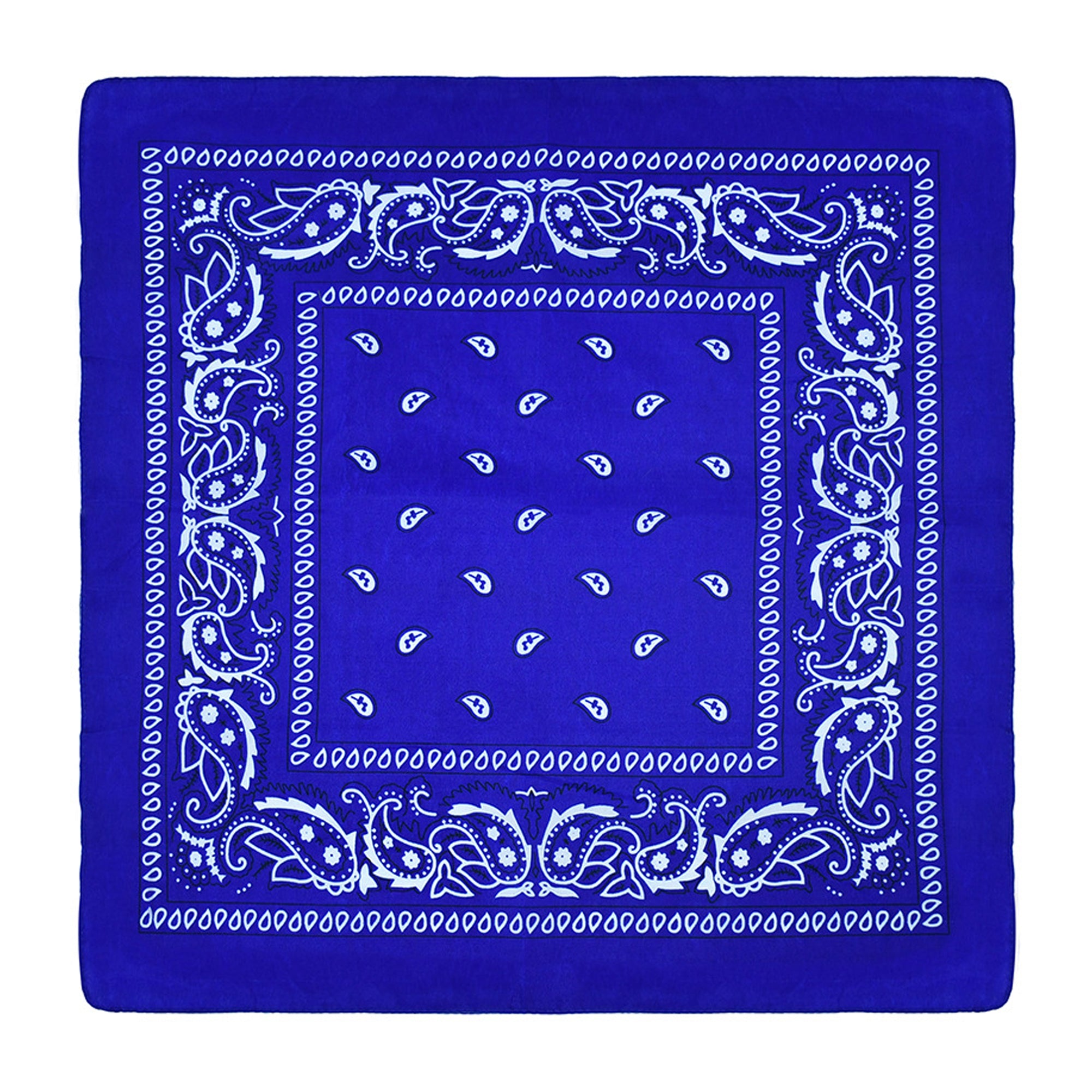 Paisley Bandannas