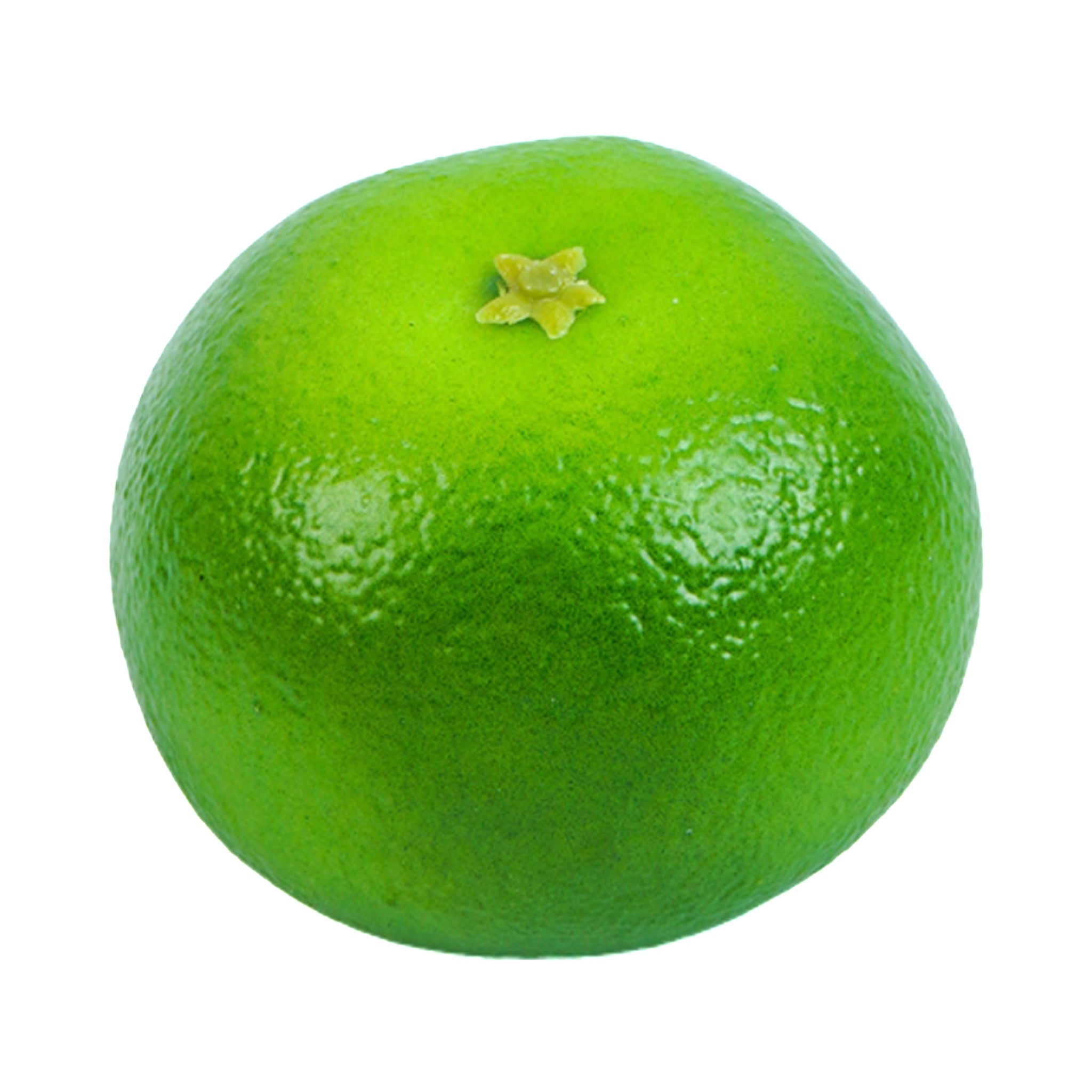 Realistic Artificial Fruits For Photography