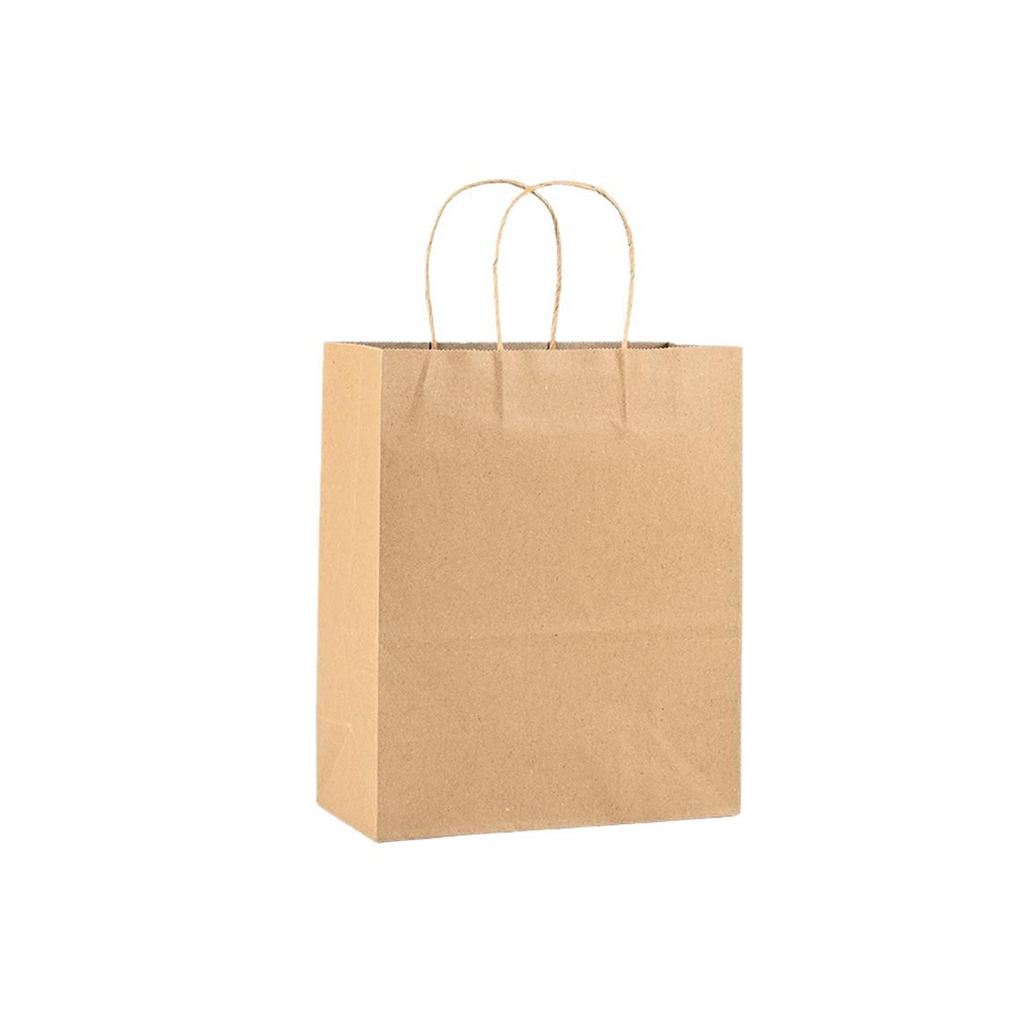 Kraft Paper Gift Bags with Handles Bulk