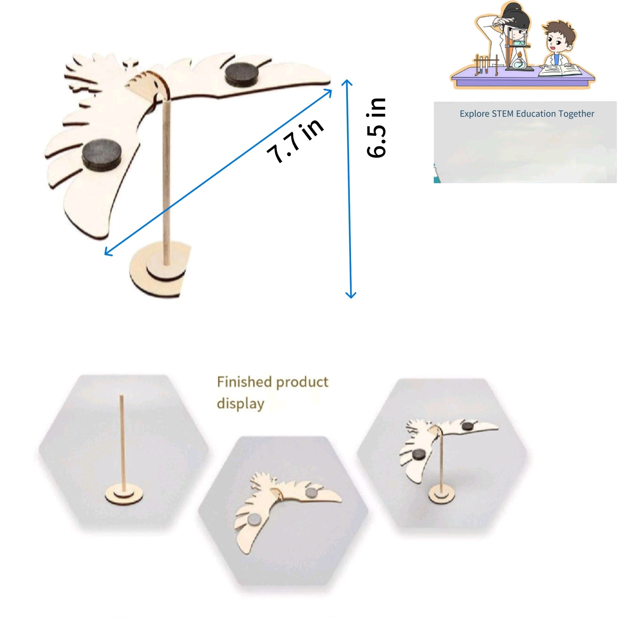 DIY Making Balancing Bird