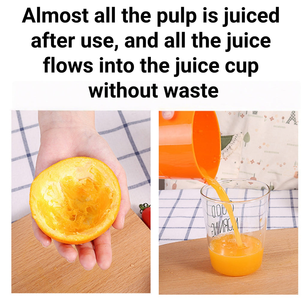 Mini Manual Juicer