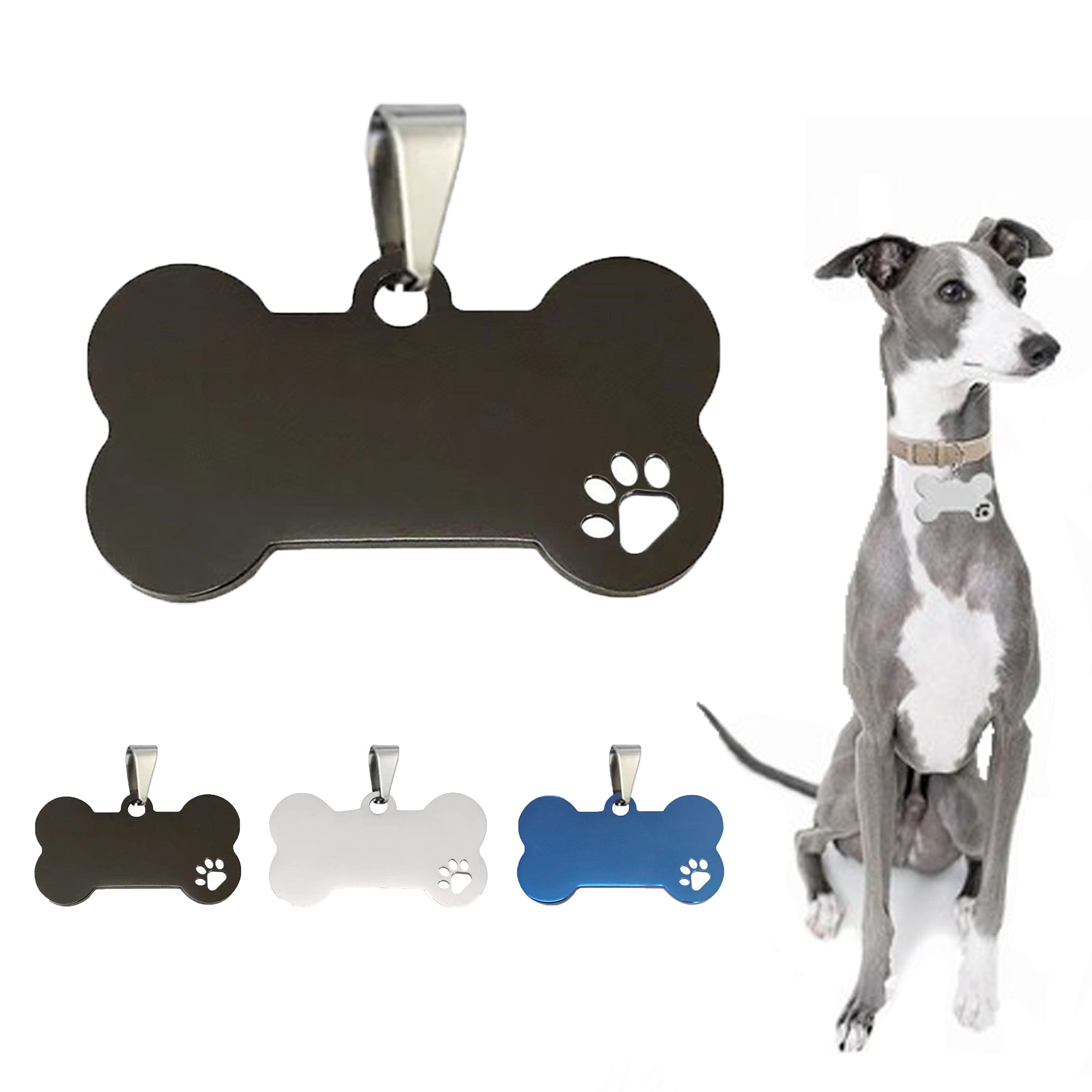PawBone Hollow Stainless Pet Tag