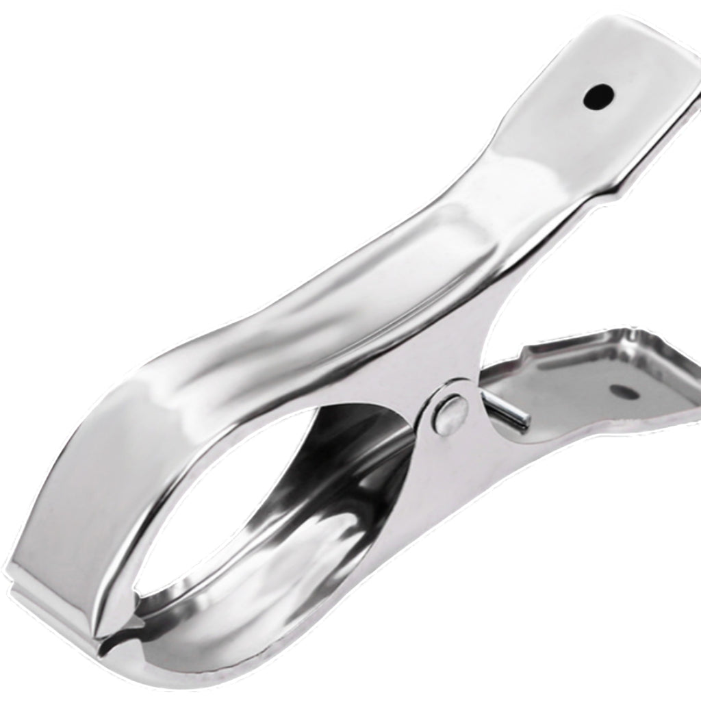 Stainless Steel Clamp Fixer