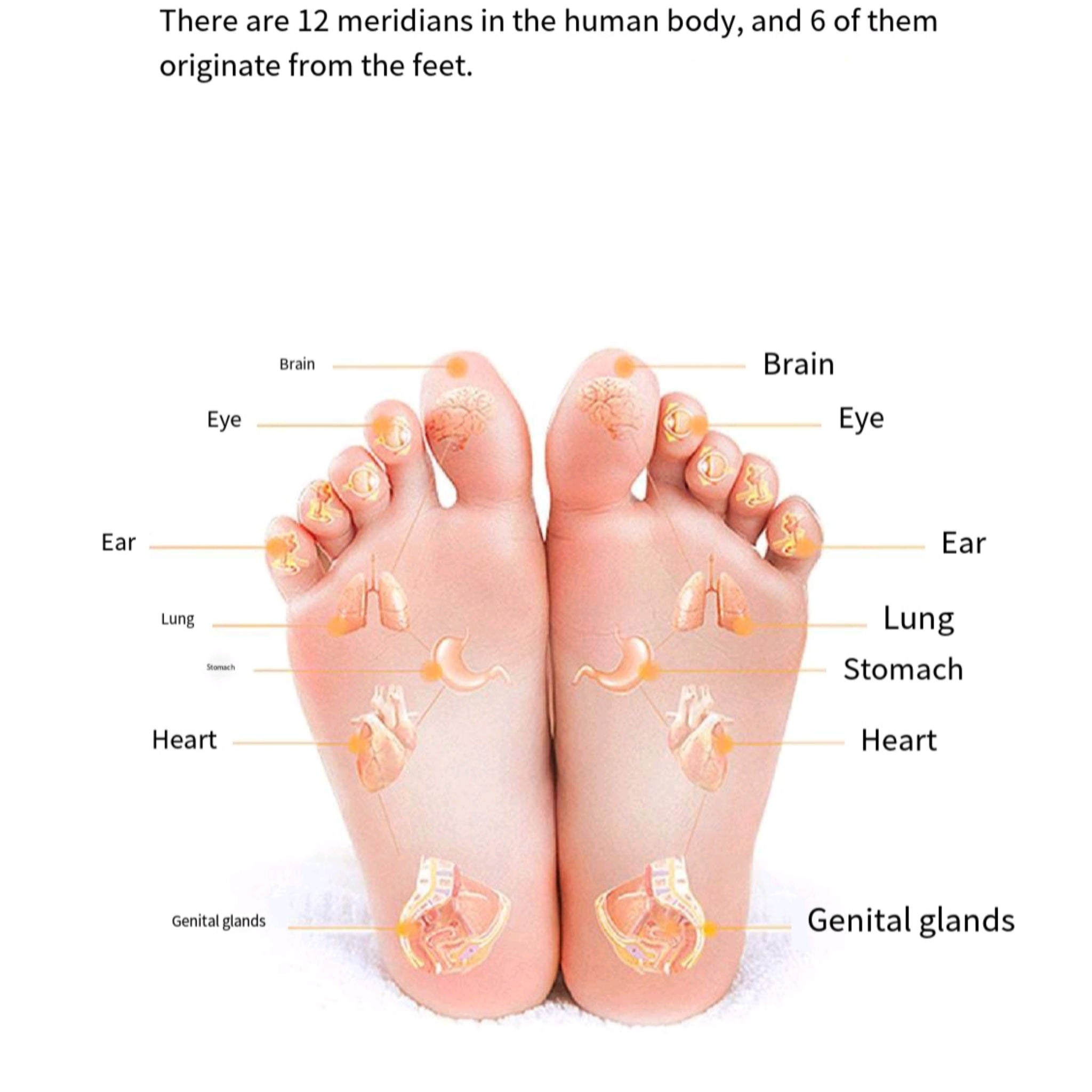 Home EMS Foot Massager Shiatsu Heel Pain Muscle Relax