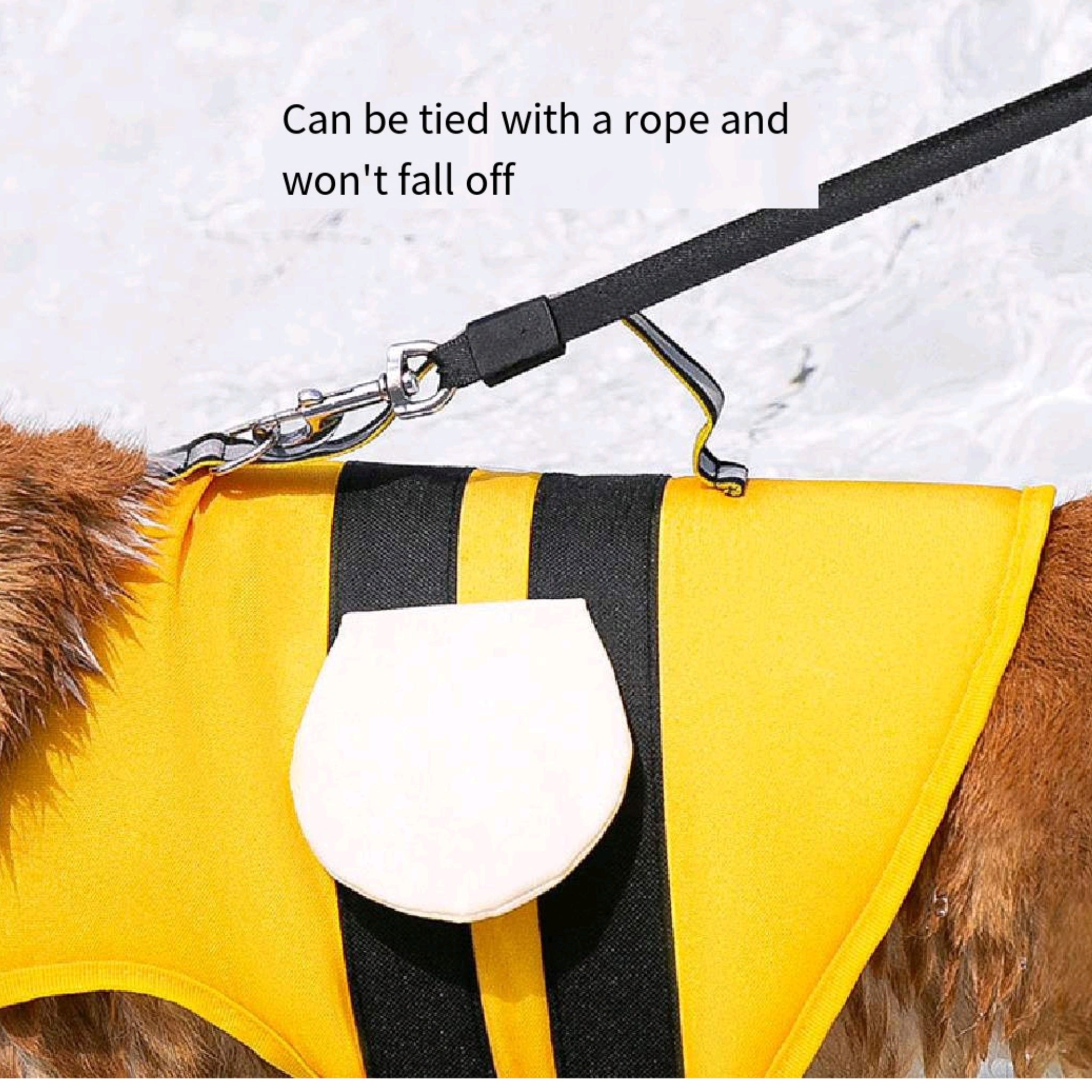 Small Breed Dog Life Jacket For Summer Pool Days