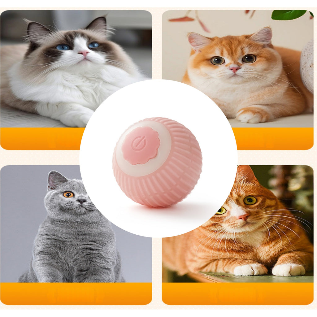 Smart & Engaging Cat Toy Ball