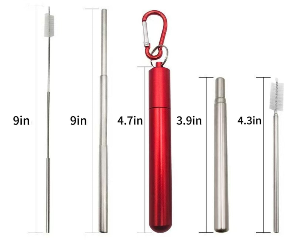 Stainless Steel Telescopic Straw
