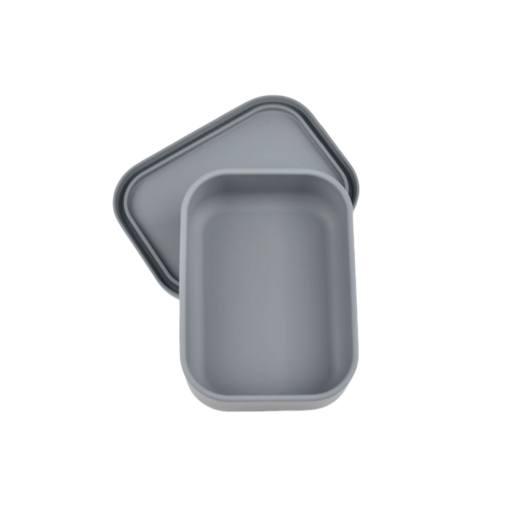 Silicone Sealed Food Storage Container