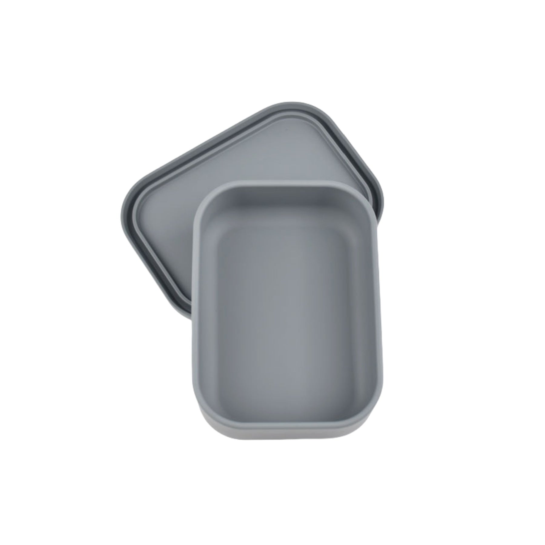 Silicone Sealed Food Storage Container