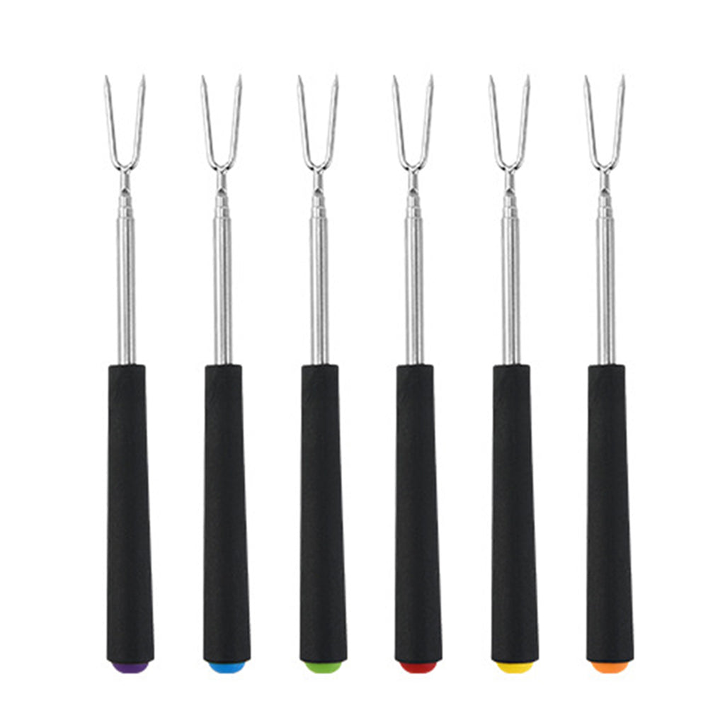 Extendable Roasting Stick