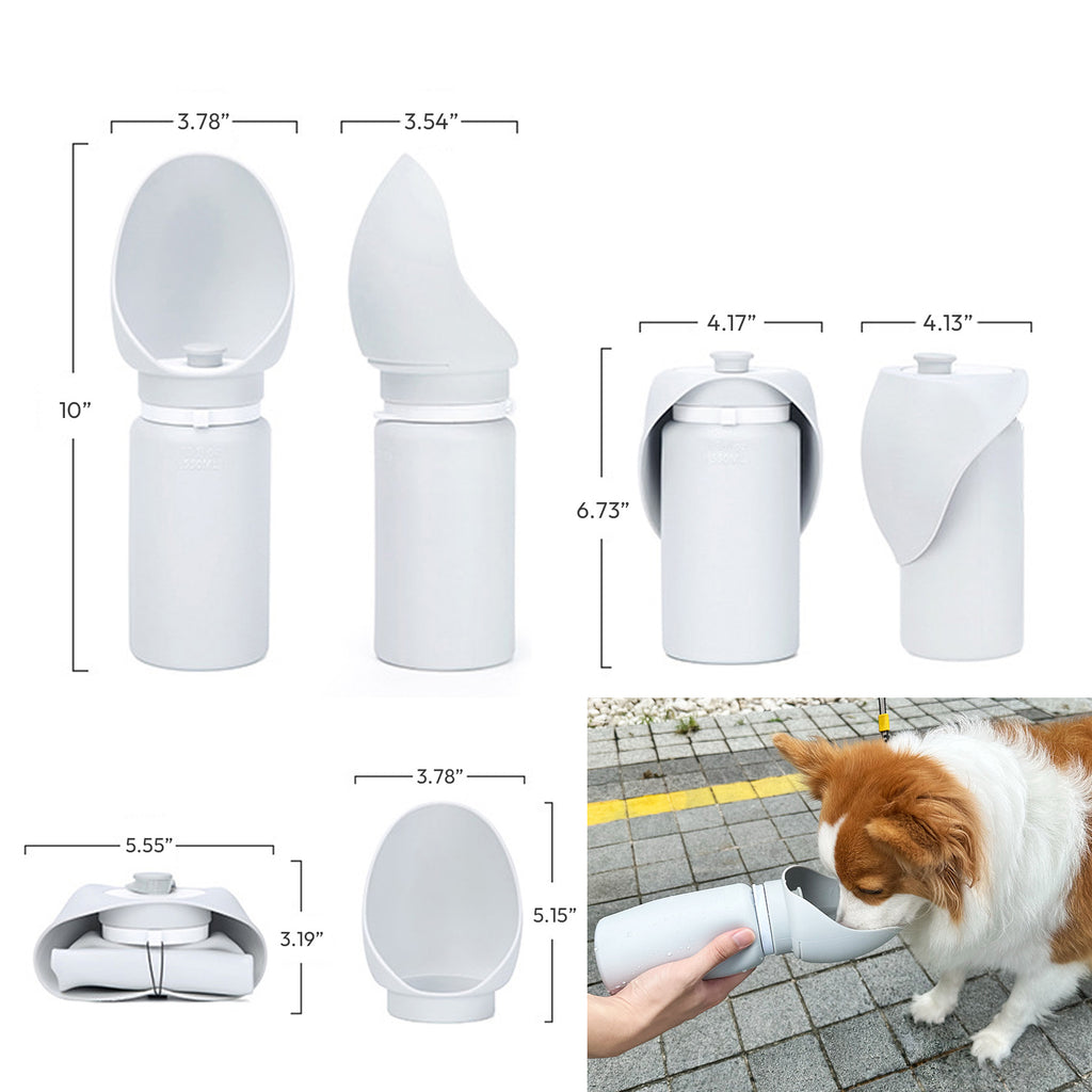 19oz Pet Water Bottle With Sink