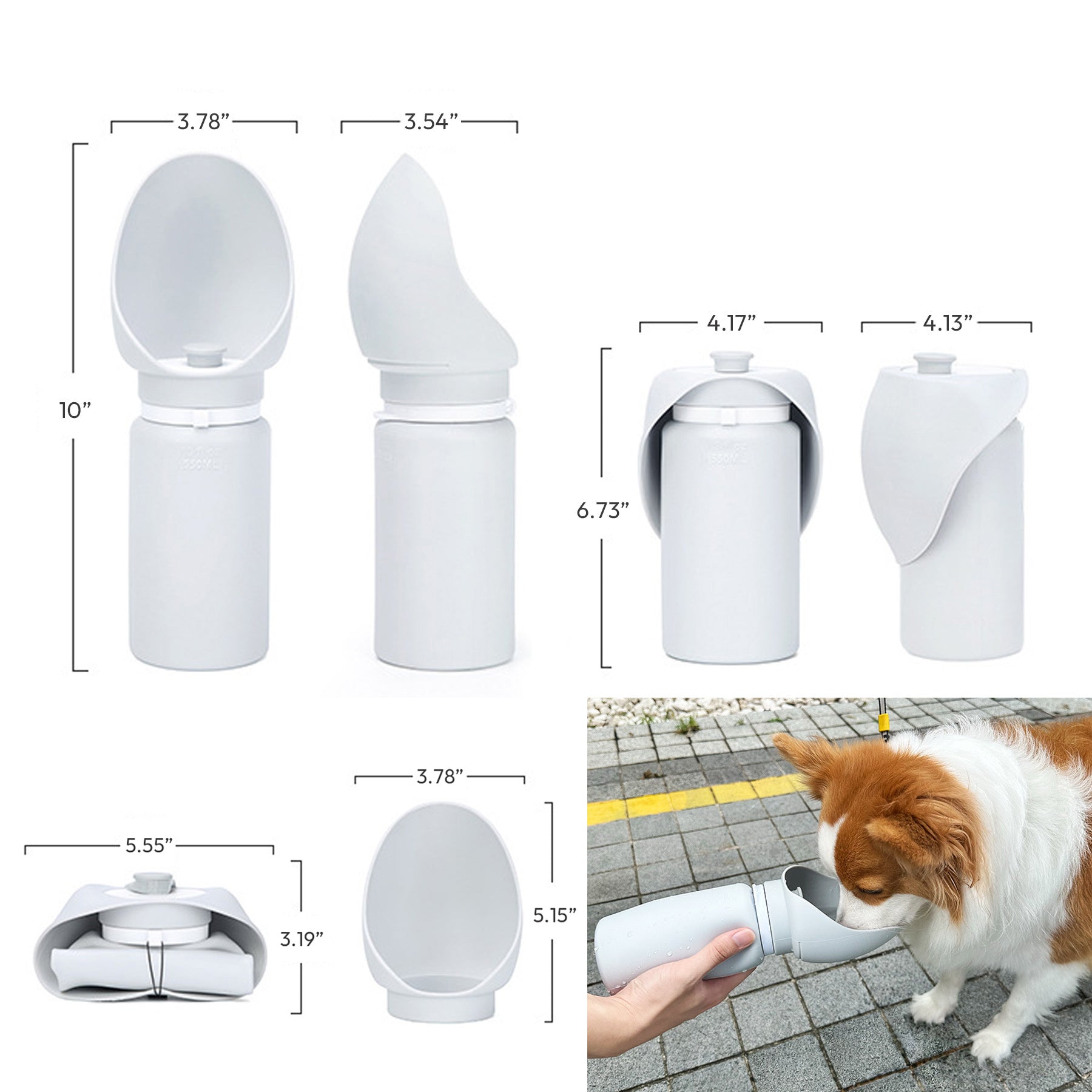 19oz Pet Water Bottle With Sink