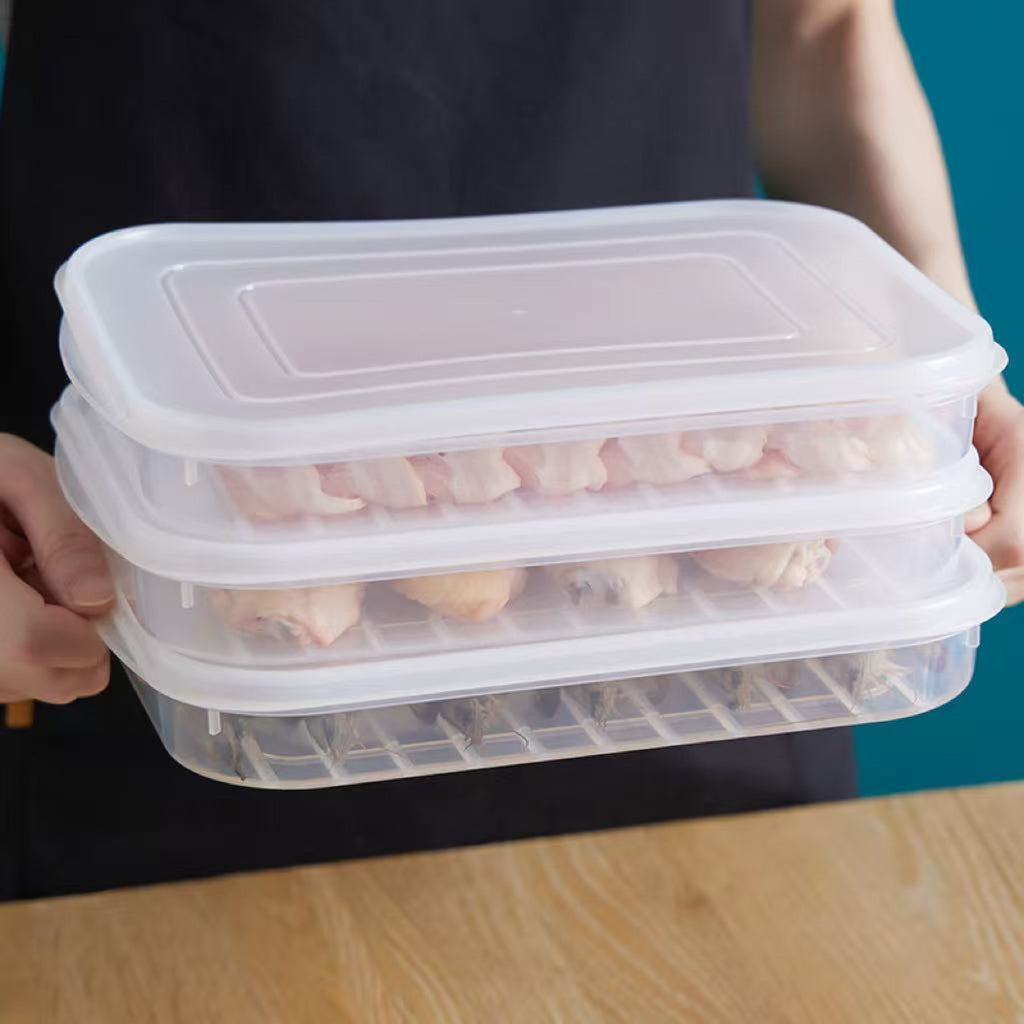 Transparent Preservation Box