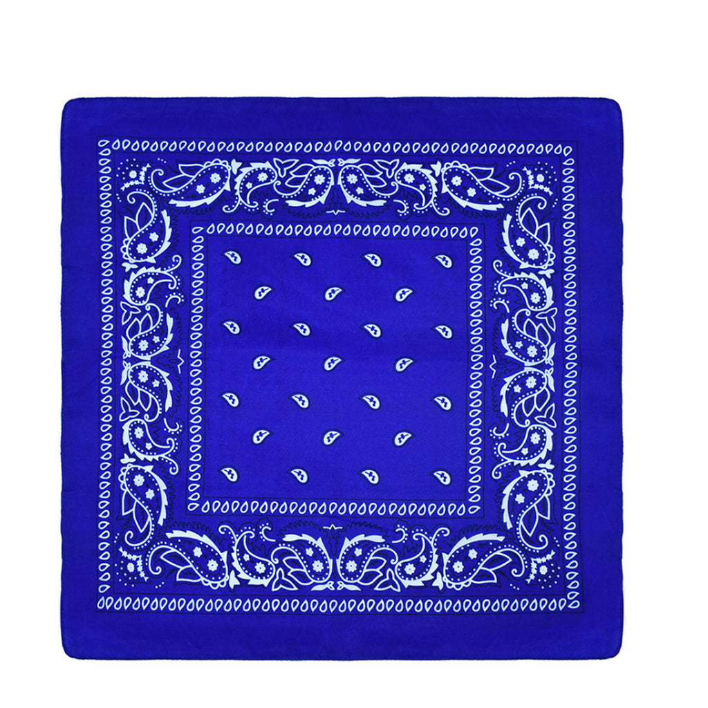 Paisley Pattern Bandanas Face Mask Square Scarf Headwear