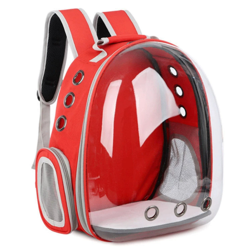 Transparent Pet Carrier Bag
