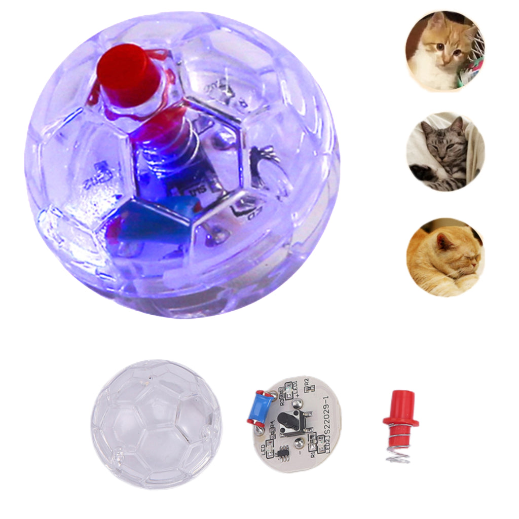 Glowing Transparent Pet Interactive Toy
