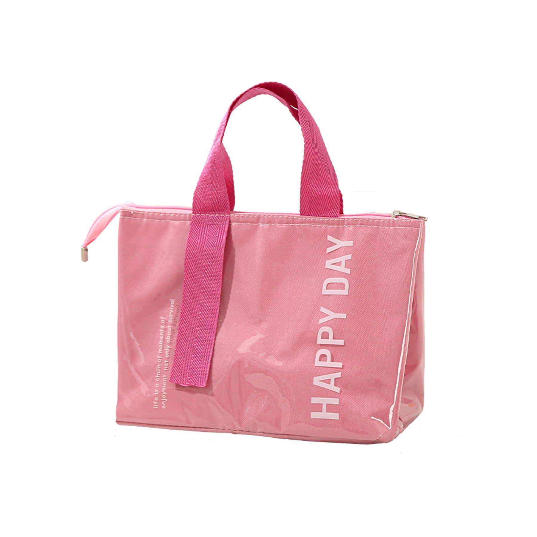 Fashion Insulated Simple Bento Lunch Tote Bag