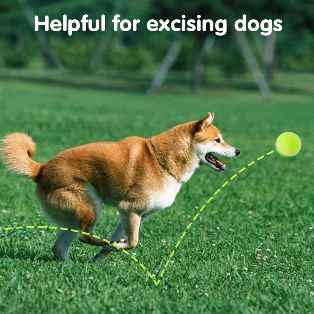Pet Dog Fetch Toy Tennis Ball